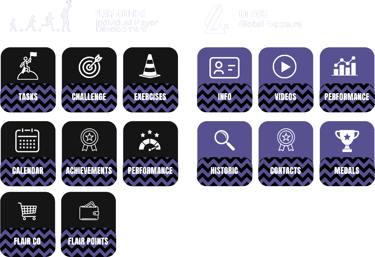 Flair Journey and OG Pass app features